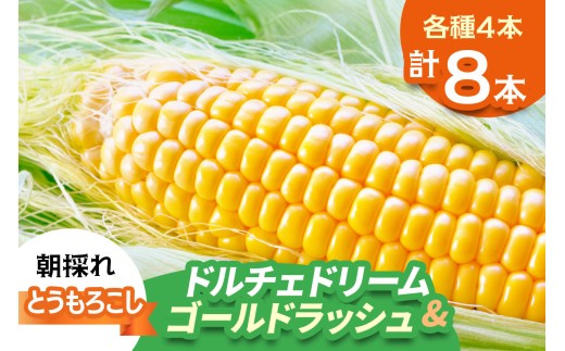 期間限定]朝採れ とうもろこし ドルチェドリーム＆ゴールドラッシュ