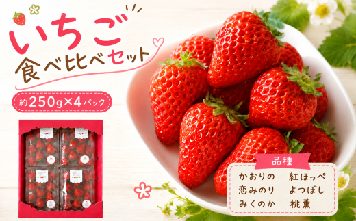 秋吉台のミネラルたっぷり!! Agri charmの いちご 食べ比べセット ( 2