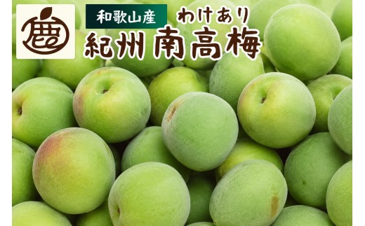 家庭用南高梅青梅10kg ECモール