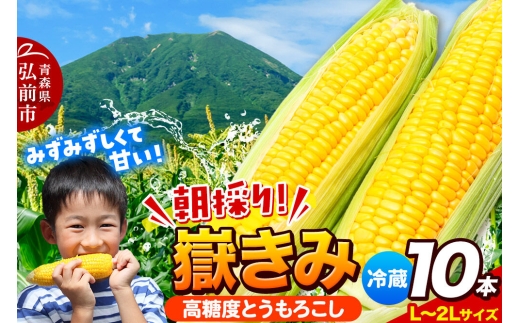 26年7月～発送】とうもろこし 朝採り 嶽きみ（だけきみ） 10本 L～2L