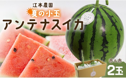 �ԗ�i�摜