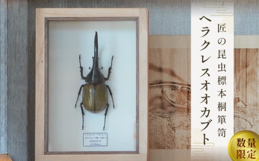数量限定】匠の昆虫標本桐箪笥「ヘラクレスオオカブト」 ／ 標本箱