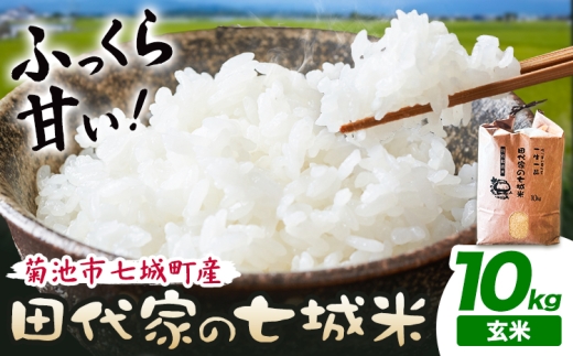 令和7年産 菊池市七城町産 田代家の七城米 七城ヒノヒカリ玄米 10kg 令和7年産 菊池市七城町産 田代家の七城米 七城ヒノヒカリ玄米 10kg