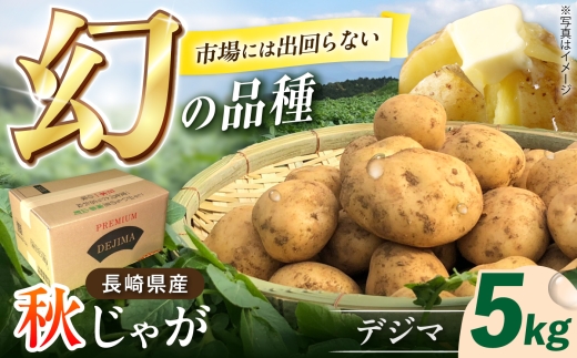 なんぐしデジマ（秋作じゃがいも）5kg 長崎県/なんぐしデジマ