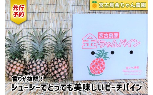 先行予約》【2026年発送】宮古島産ピーチパイン 2kg（3～4個）セット