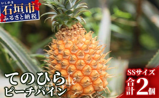 2026年4月～7月順次発送》枝先完熟 てのひらピーチパイン 1kg (SS