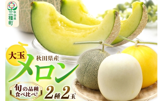 旬のメロン 大玉 2種類 2玉 果物 フルーツ 秋田県産 [メロン 果物