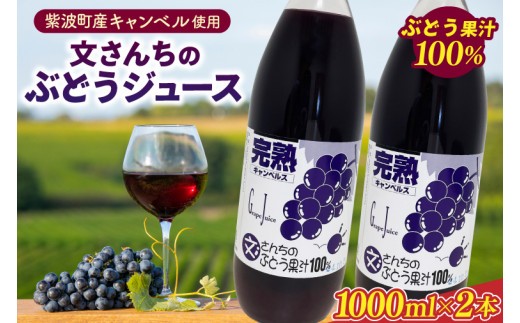 ぶどう果汁100%／文さんちの完熟ぶどうジュース 1000ml×2本 (EH001