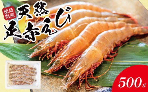 �ԗ�i�摜
