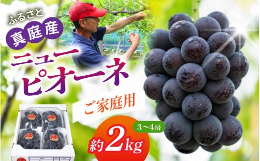 ご家庭用〉岡山の自然がはぐくむピオーネ 約2kg 【beac006-01】 - 岡山