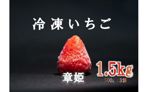 多気町産 章姫 冷凍いちご 1.5kg（500g×3） ワケアリ 訳アリ イチゴ