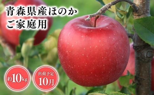 2026年産 10月発送 【訳あり】家庭用ほのか10kg【青森県 平川市 そと