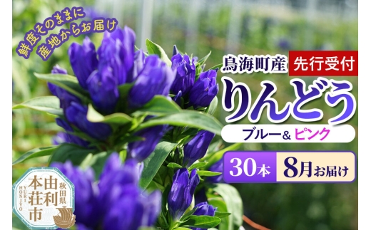 帯 裏葉柳色にりんどうの花 リメイク 山葡萄ハンドルバッグ 通し