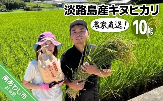 農家直送！淡路島産キヌヒカリ 10kg - 兵庫県南あわじ市｜ふるさと