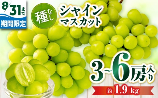 8月31日（夏休み）までの期間限定価格!!】シャインマスカット 約1.9kg