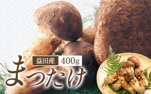F-766 益田産まつたけ 400g - 島根県益田市｜ふるさとチョイス