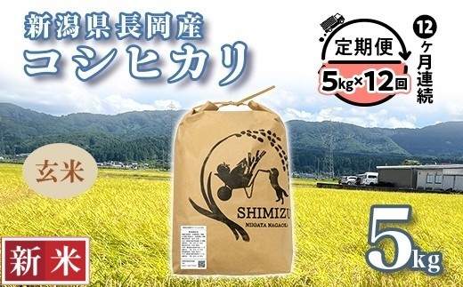 N5-8G05Z【12ヶ月連続お届け】新潟県長岡産コシヒカリ玄米5kg - 新潟県