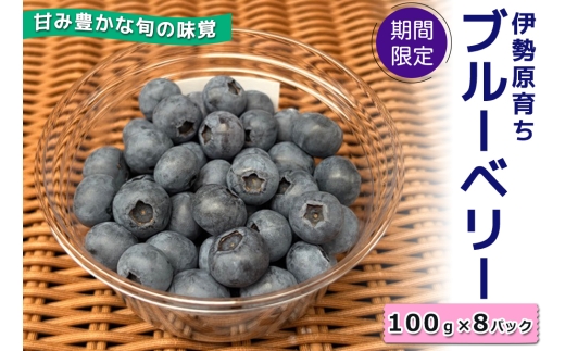 期間限定] 伊勢原育ち 農薬不使用ブルーベリー 100g×8パック《甘み豊か