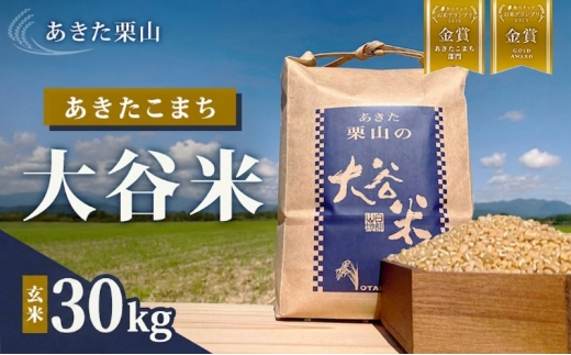 食べチョク金賞受賞 玄米 あきたこまち 30kg×1袋 令和7年産 あきた栗山 