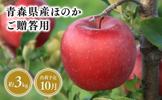 2026年産 10月発送 贈答用ほのか3kg【青森県 平川市 そと川りんご園