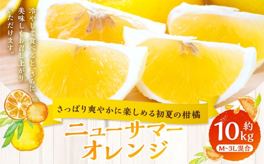 さっぱり爽やかに楽しめる初夏の柑橘 】 ニューサマーオレンジ 約10kg