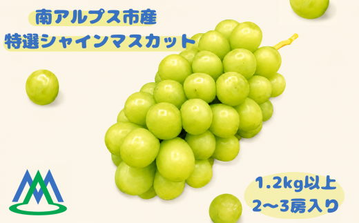 南アルプス市産 特選シャインマスカット 約1.2kg 2～3房入り ALPGB009