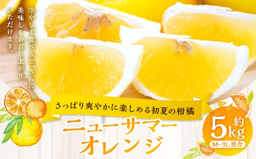 さっぱり爽やかに楽しめる初夏の柑橘 】 ニューサマーオレンジ 約5kg