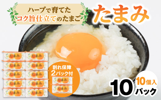 いすみポートリー「たまみ」コク旨仕立て10個入×10パック+割れ保障10個