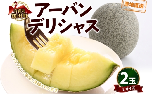 №5554-0416]青森県産 つがりあんメロン 「アーバンデリシャス」 L