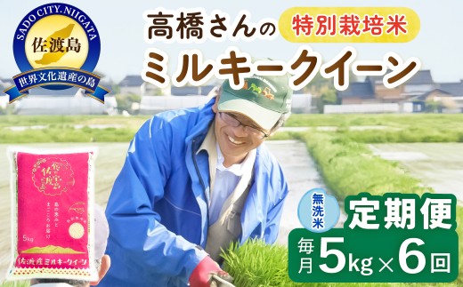 佐渡島産【6か月定期便 ミルキークイーン】佐渡島産ミルキークイーン