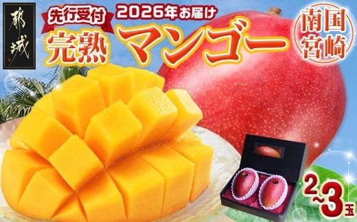 先行受付!】宮崎完熟マンゴー2～3玉(都城産)_AC-3303_(都城市) 宮崎