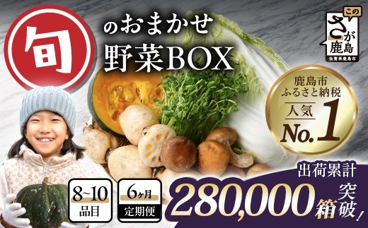 野菜 定期便 6回 旬のおまかせ 野菜BOX (8〜10品目) 【累計28万箱突破
