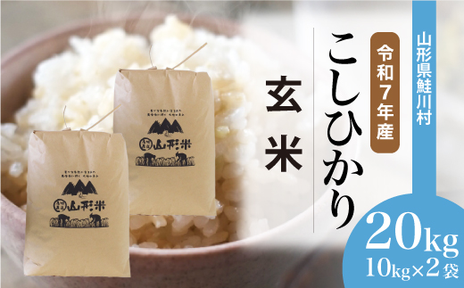 令和7年産＞ こしひかり 【玄米】 20kg （10kg×2袋）＜配送時期選べ