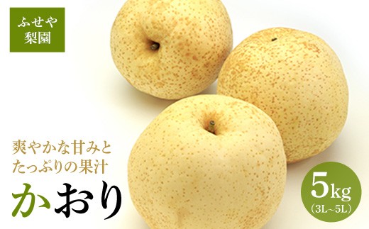 かおり 5kg 【ふせや梨園】| 農家直送 梨 ナシ 果物 フルーツ 宇都宮市