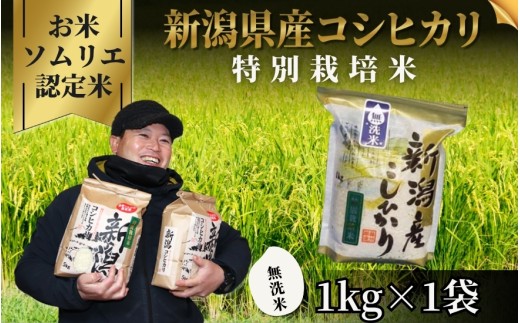 先行予約】令和8年産【お米ソムリエのお米】無洗米 コシヒカリ 1kg