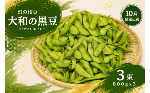 2026年10月下旬出荷限定】幻の枝豆 大和の黒豆 KAWAI BLACK 2.4kg