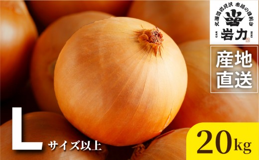 たまねぎ 北海道岩見沢産たまねぎ 20kg (市場の目利き・岩力ブランド) | 玉ねぎ