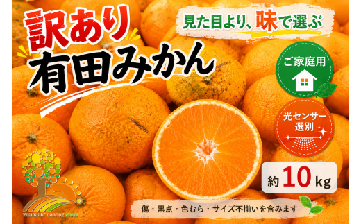 訳あり】有田みかん 10kg | 農家直送 訳あり ご家庭用 サイズ混合 光