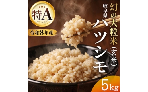 岐阜のお米「ハツシモ」 玄米20Kg 令和7年産 先行予約＞令和8年産 岐阜県産ハツシモ(玄米)5kg【1757857】 - 岐阜県