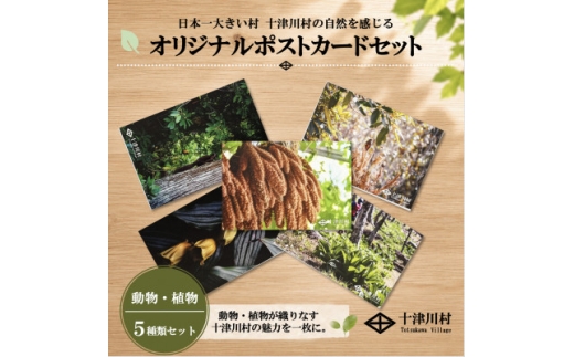 ふるさと納税限定】十津川村風景ポストカードセット 5枚入り 動物