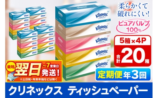 《4ヶ月ごとに3回お届け》定期便 ティッシュ クリネックス 20箱 5箱×4パック 秋田市オリジナル 最短翌日発送 [クリネックス ティッシュ ボックスティッシュ 日本製紙クレシア 定期便]
