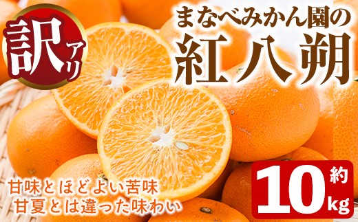 先行予約受付中！2027年2月上旬以降順次発送予定＞訳あり！まなべ
