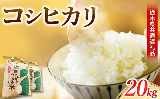 コシヒカリ 20kg【栃木県共通返礼品】 - 栃木県鹿沼市｜ふるさと