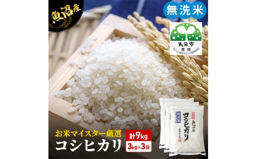 先行予約】令和8年産 無洗米 コシヒカリ 9kg 米 白米 お米 魚沼産