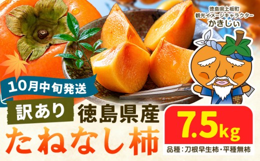�ԗ�i�摜