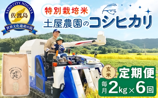 定期便 令和8年産新米 6か月】 佐渡島産コシヒカリ 玄米 2Kg 令和8年産