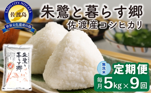 定期便 令和8年産新米 9か月】 佐渡島産コシヒカリ 無洗米 5kg 令和8