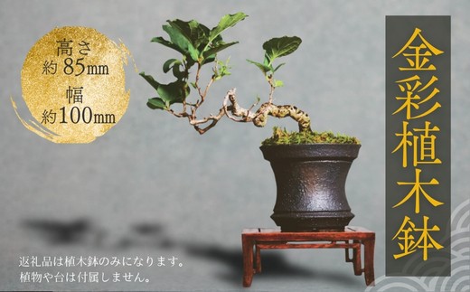 金彩植木鉢 ミニ盆栽 多肉植物 手作り 植木鉢 うえきばち 一点もの 鉢