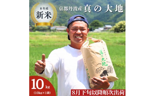 令和8年産 京都丹波産 コシヒカリ 10kg 京都 丹波 お米 米 産地直送 令