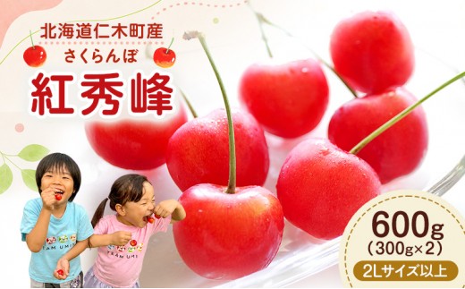 先行予約 北海道 仁木町産 さくらんぼ 紅秀峰 600g （300g×2）2L以上